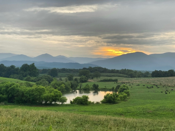 Sell your land with Legacy Country